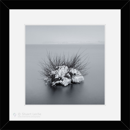 Porcupine Squared