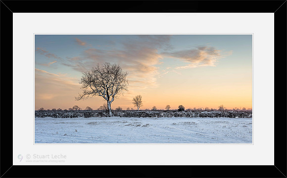 Winter Sunset