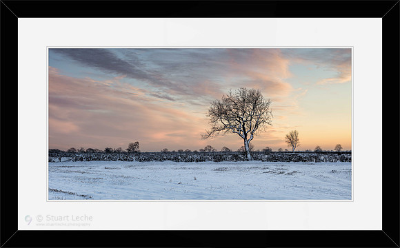 Winter Sunset II
