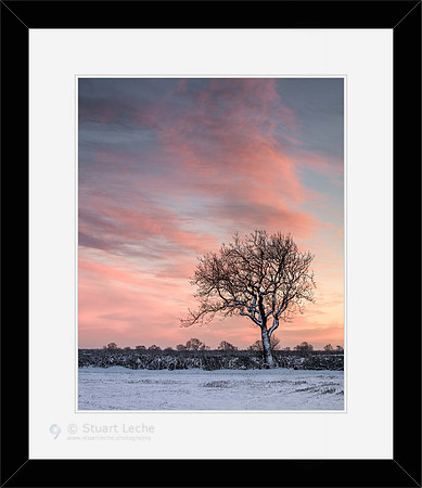 Winter Sunset III